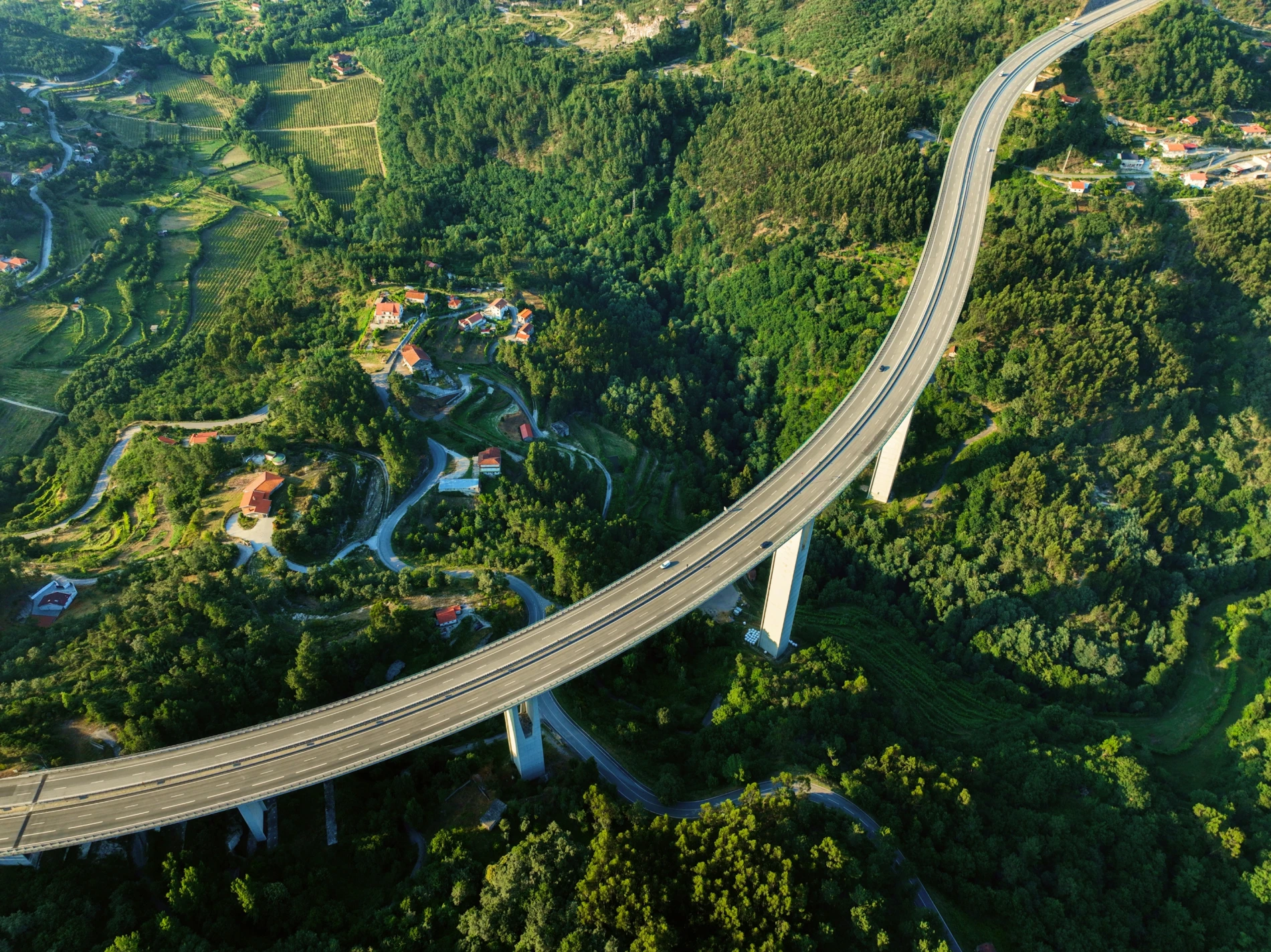 Where Investment Meets Performance