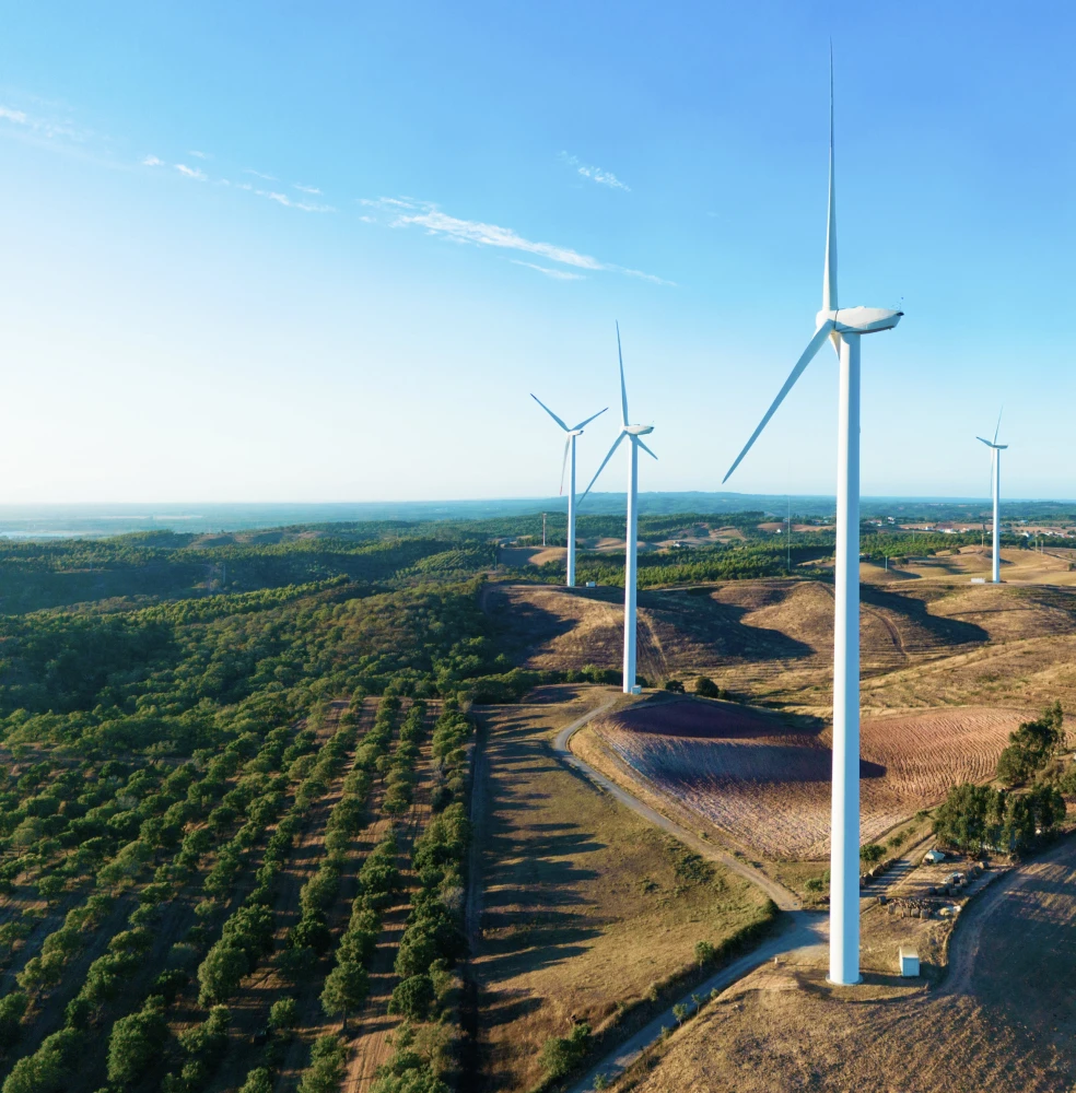 Key Sustainability Highlights